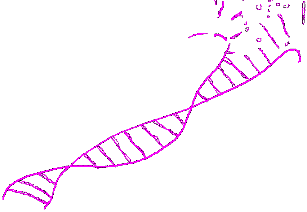 dna spiral purple